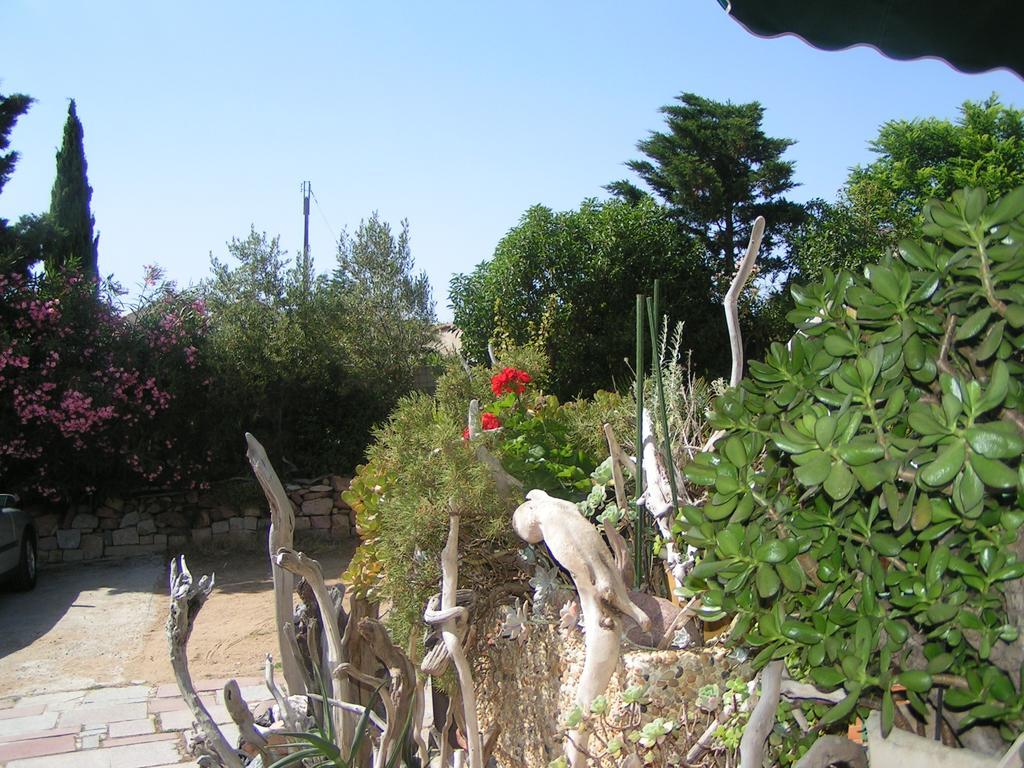 Punta E Mare Des Ou Des T2 2* Cargèse