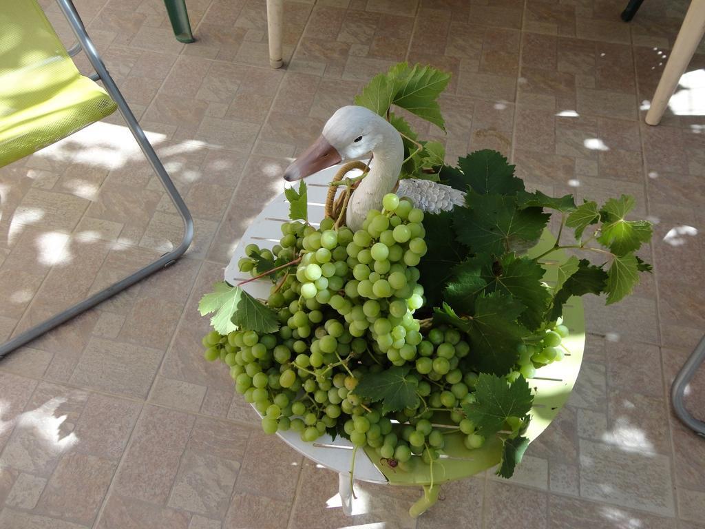 Punta E Mare Des Ou Des T2 Cargèse